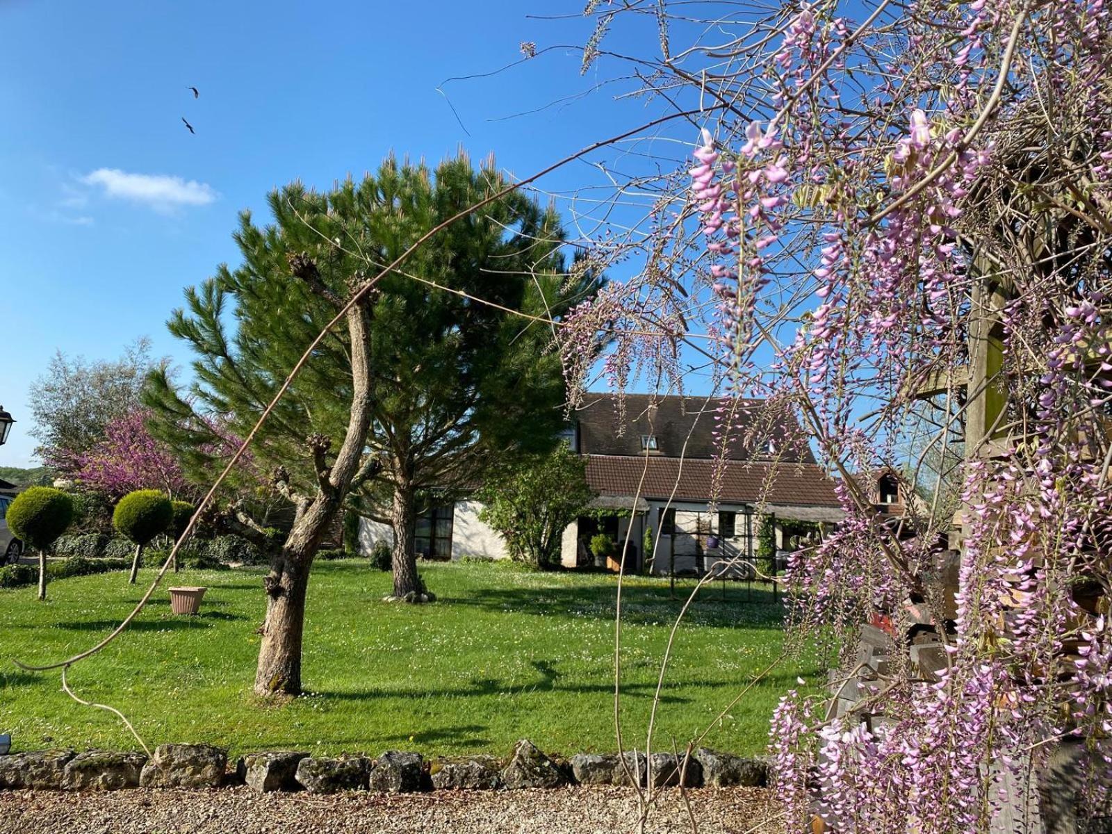Gite Et Studios Les Barongeres Farges-les-Chalon Exteriér fotografie