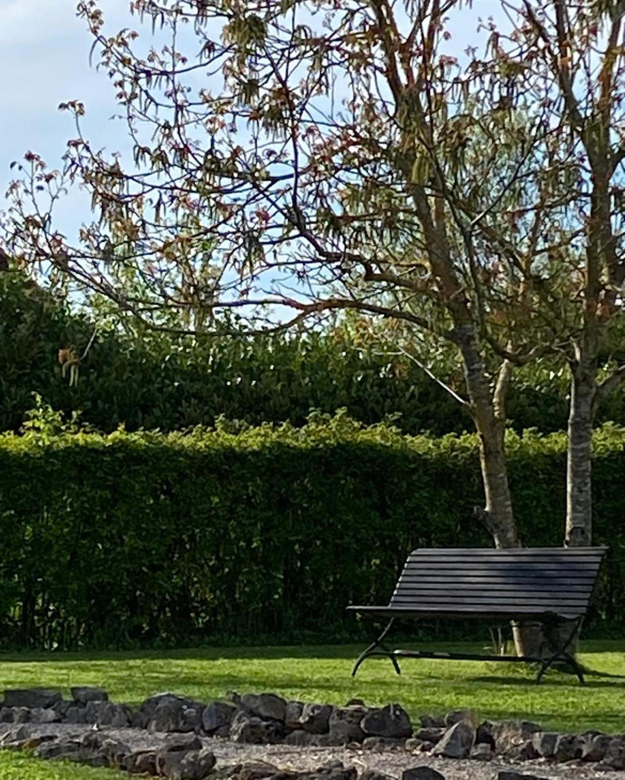 Gite Et Studios Les Barongeres Farges-les-Chalon Exteriér fotografie