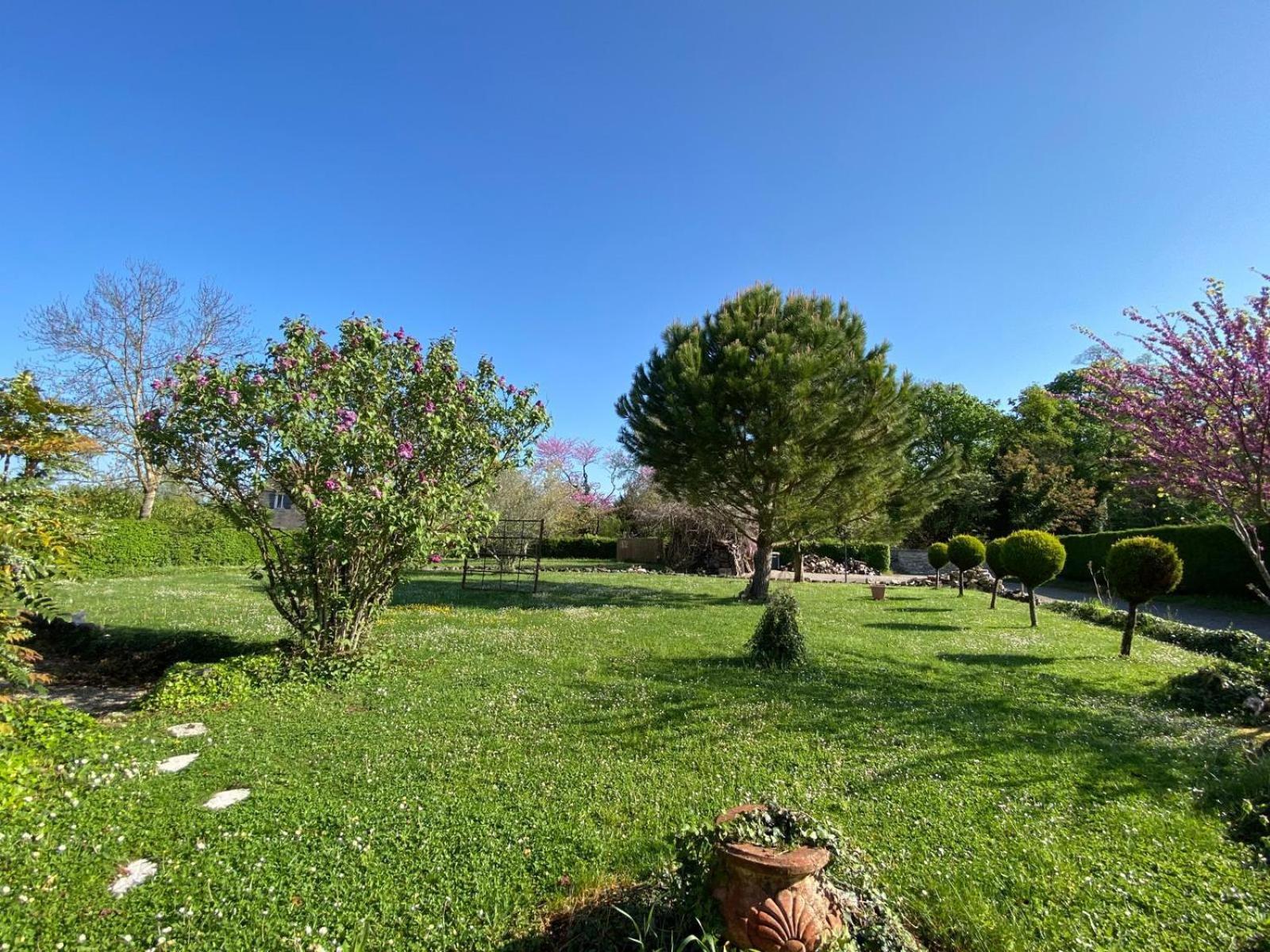 Gite Et Studios Les Barongeres Farges-les-Chalon Exteriér fotografie