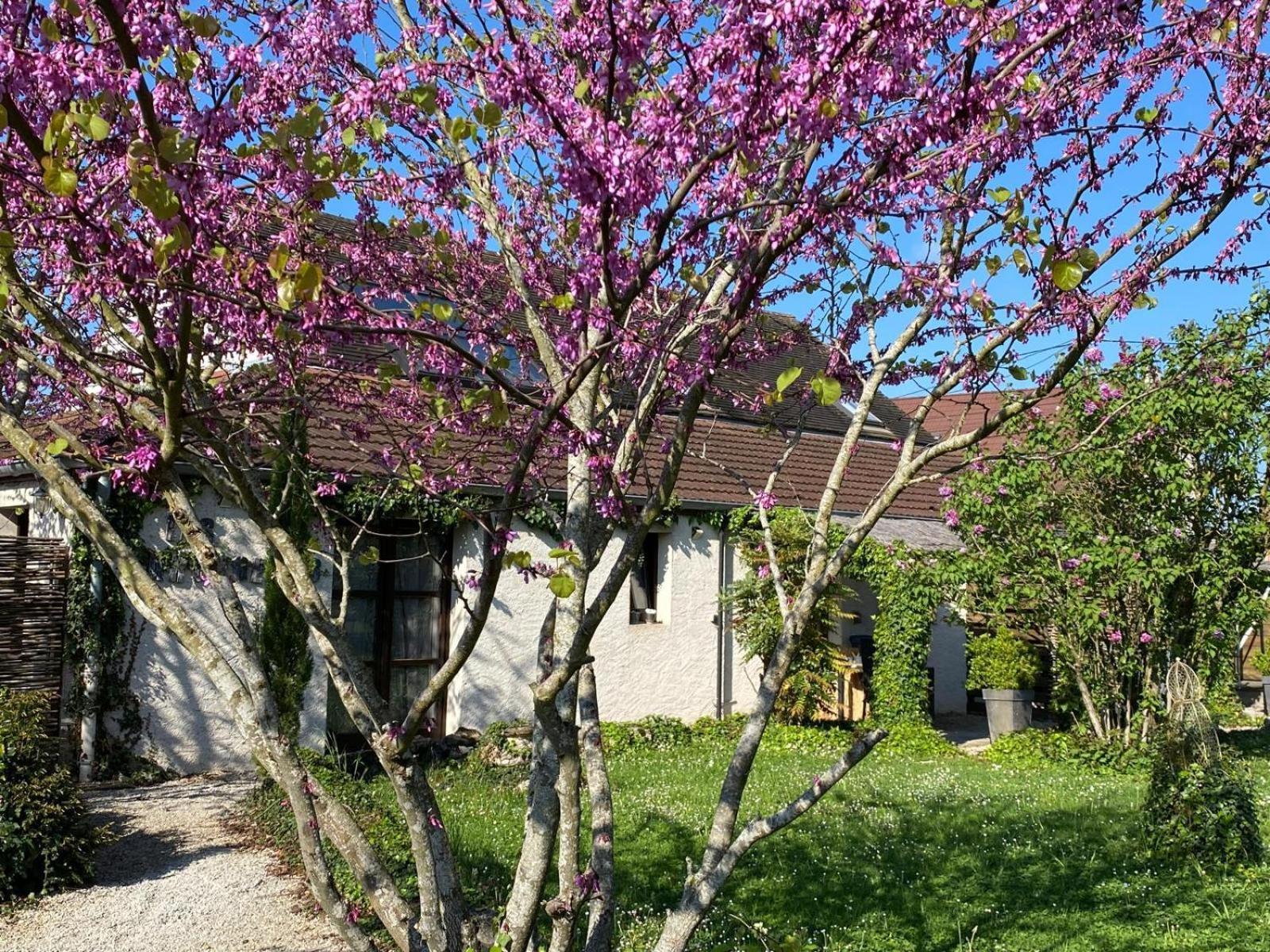 Gite Et Studios Les Barongeres Farges-les-Chalon Exteriér fotografie