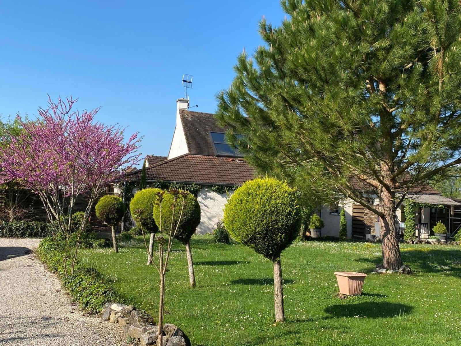 Gite Et Studios Les Barongeres Farges-les-Chalon Exteriér fotografie